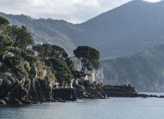 Ile kosztuje smar grafitowy?