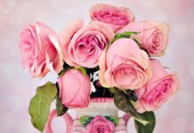 Czego nie lubią róże?