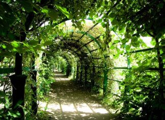 Z czego pergola na tarasie? Z czego pergola na tarasie?