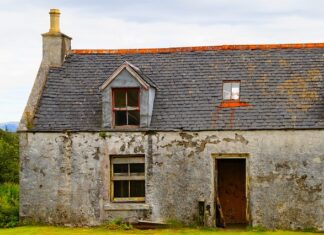 Jaki pędzel do odcinania?