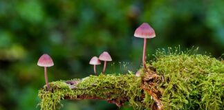 Jakie są rodzaje włączników światła?