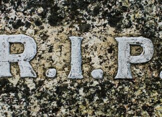 Czy można chodzić po płytach PIR? Czy można chodzić po płytach PIR?