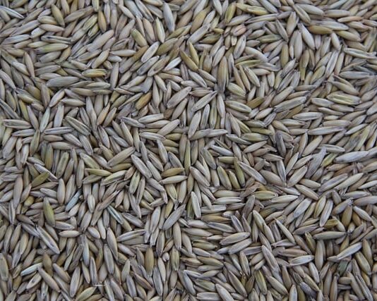 Gdzie produkuje się samochód Kia Picanto? Gdzie produkuje się samochód Kia Picanto?