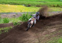 Co jest lepsze Husqvarna czy STIHL? Co jest lepsze Husqvarna czy STIHL?