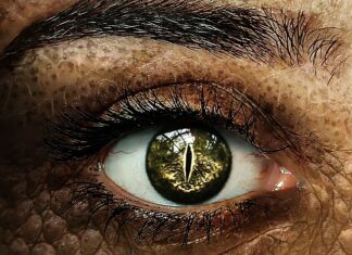 Czy Sauron był okiem?