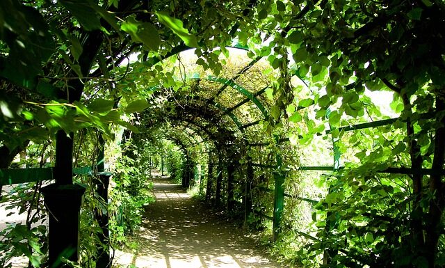 Co to jest pergola tarasowa? Co to jest pergola tarasowa?