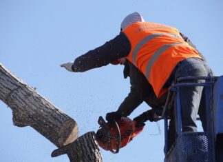 Jak działa piłą panelowa? Jak działa piłą panelowa?