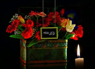 Co może być dedykowane?