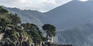 Ile kosztuje dorobienie pilota do bramy?