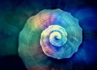 Jak prawidłowo skręcać samochodem?