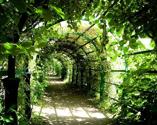 Ile kosztuje pergola ogrodowa?