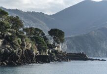 Ile kosztuje piec kominkowy? Ile kosztuje piec kominkowy?