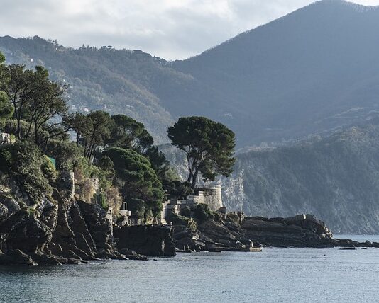 Ile kosztuje piec kominkowy?