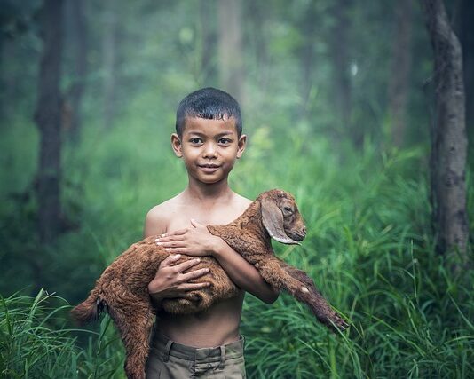 Jak daleko koza od ściany?