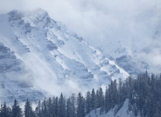 Ile kosztuje przegląd Kia Picanto? Ile kosztuje przegląd Kia Picanto?