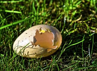 Jak myc powłokę ceramiczna?