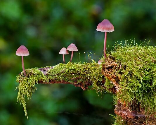 Jakie są rodzaje pilników?