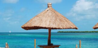 Jak sprawdzić czy to uszczelniacze czy to pierścienie?