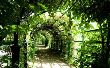 Co to znaczy pergola? Co to znaczy pergola?